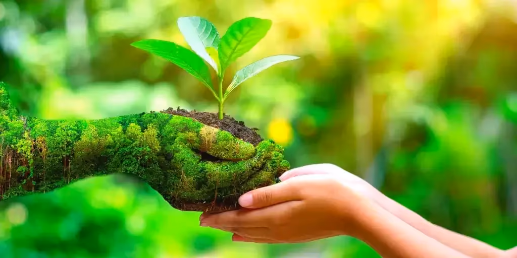 ecologia aziendale