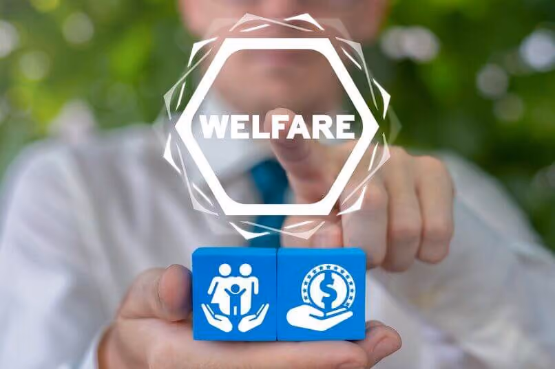 welfare digitale