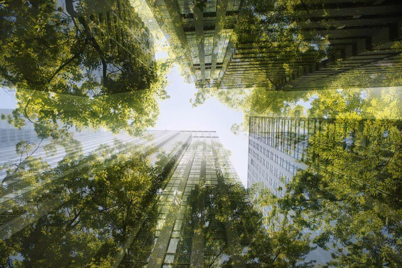ecologia aziendale