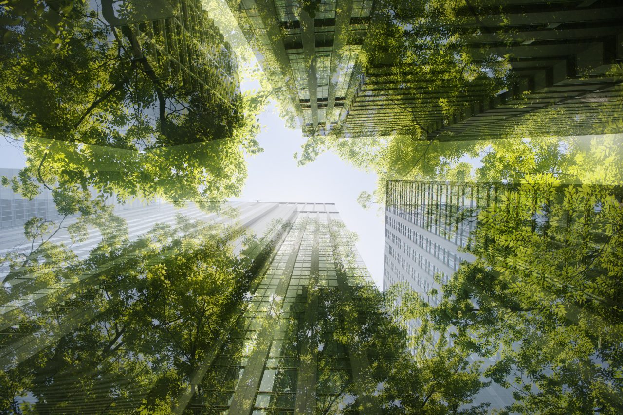 ecologia aziendale